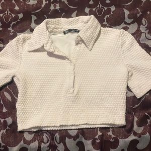Zara Collar Crop Top